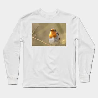 Robin looking up Long Sleeve T-Shirt